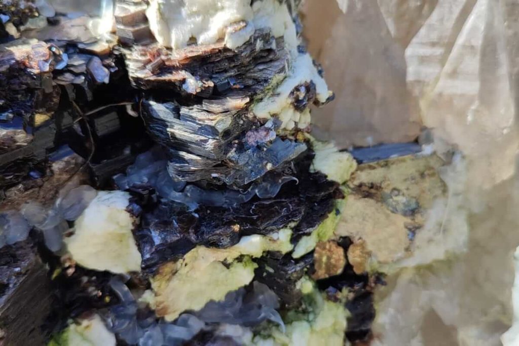 IMG-20220721-WA0004-1-1200x800-1