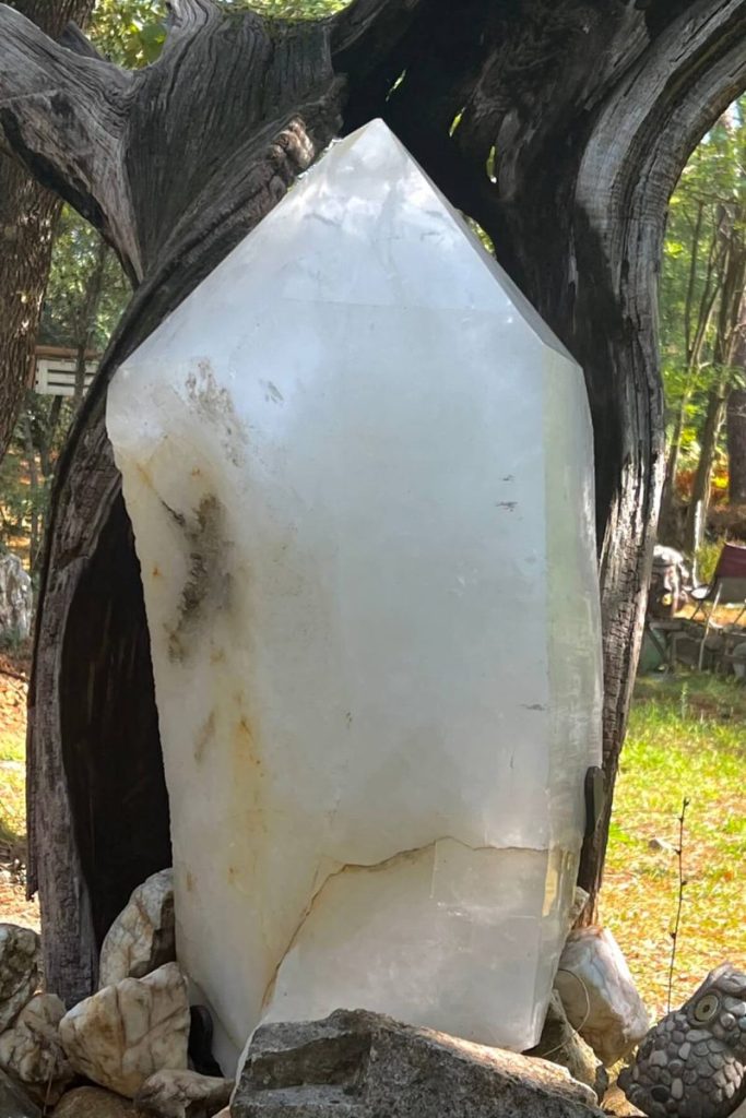 IMG_4301-1-2-1-800x1200-1