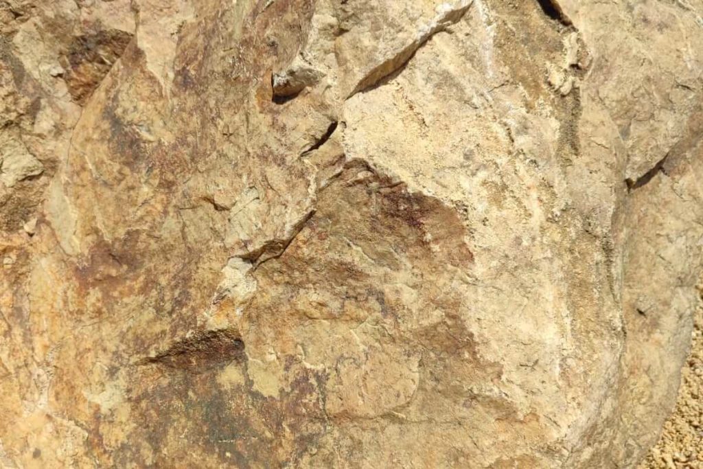 image_viber_2022-07-13_13-54-01-252-1200x800-1