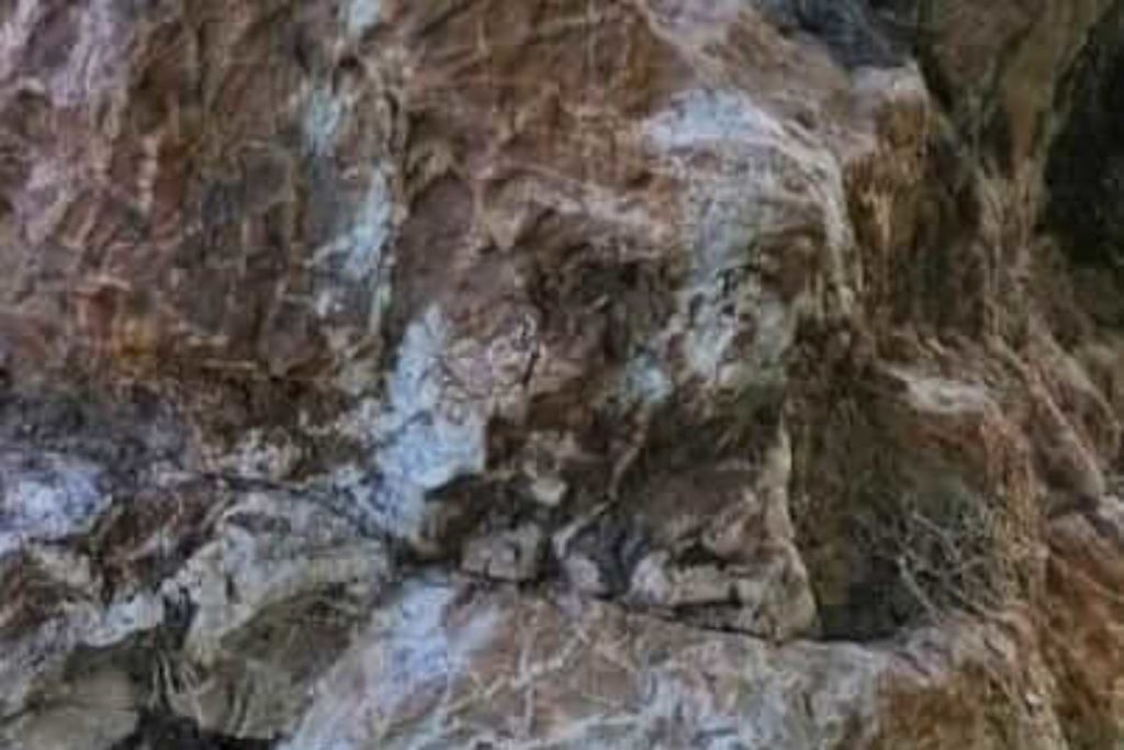 image_viber_2022-07-13_13-54-08-316-1200x800-1